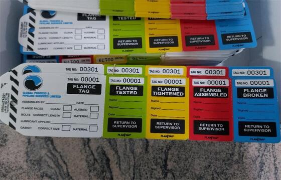 Custom Plastic Safety Tag Flange Tag Heavy Duty Waterproof Vinyl Tags with Reinforced Hole and Nylon Cable Ties for Industrial and Outdoor