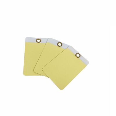 Custom Waterproof PVC Safety Tag with Digital Printing and Transparent Design for Industrial Safety